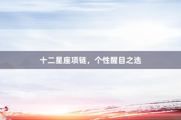 十二星座项链，个性醒目之选
