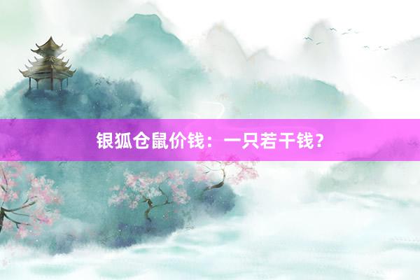 银狐仓鼠价钱：一只若干钱？